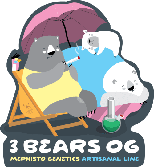 3 Bears OG - Image 11
