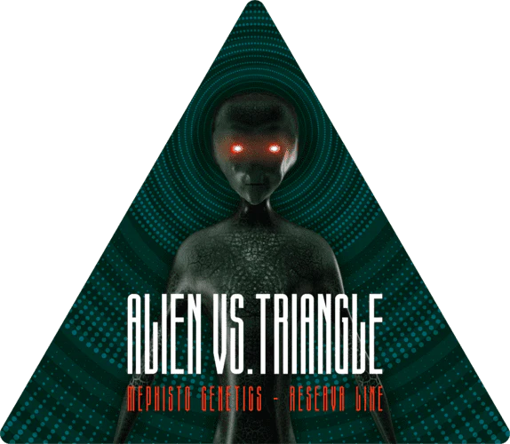Alien vs. Triangle - Image 6