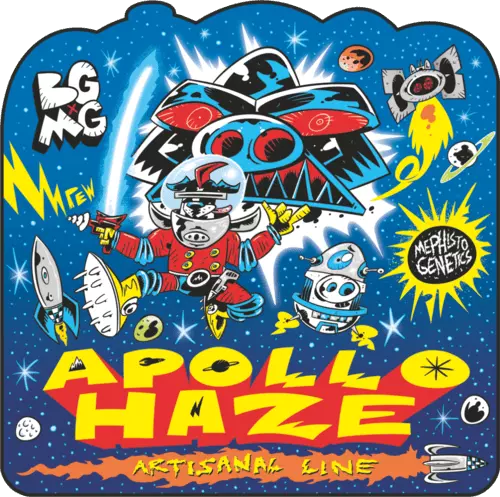 Apollo Haze - Image 10