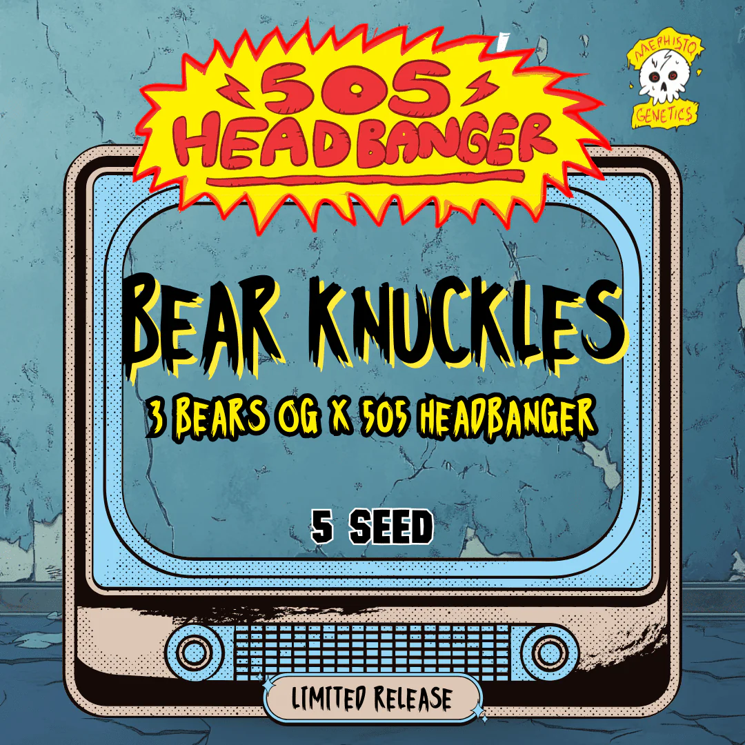 Bear Knuckles