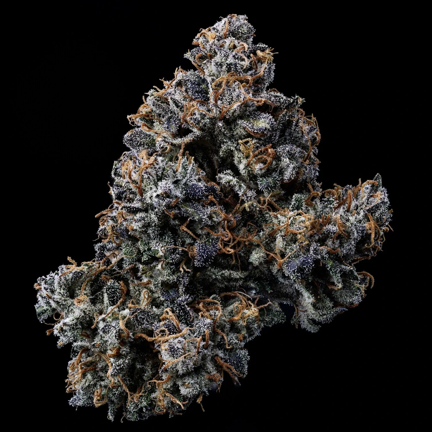 Butters' Breath - Image 5