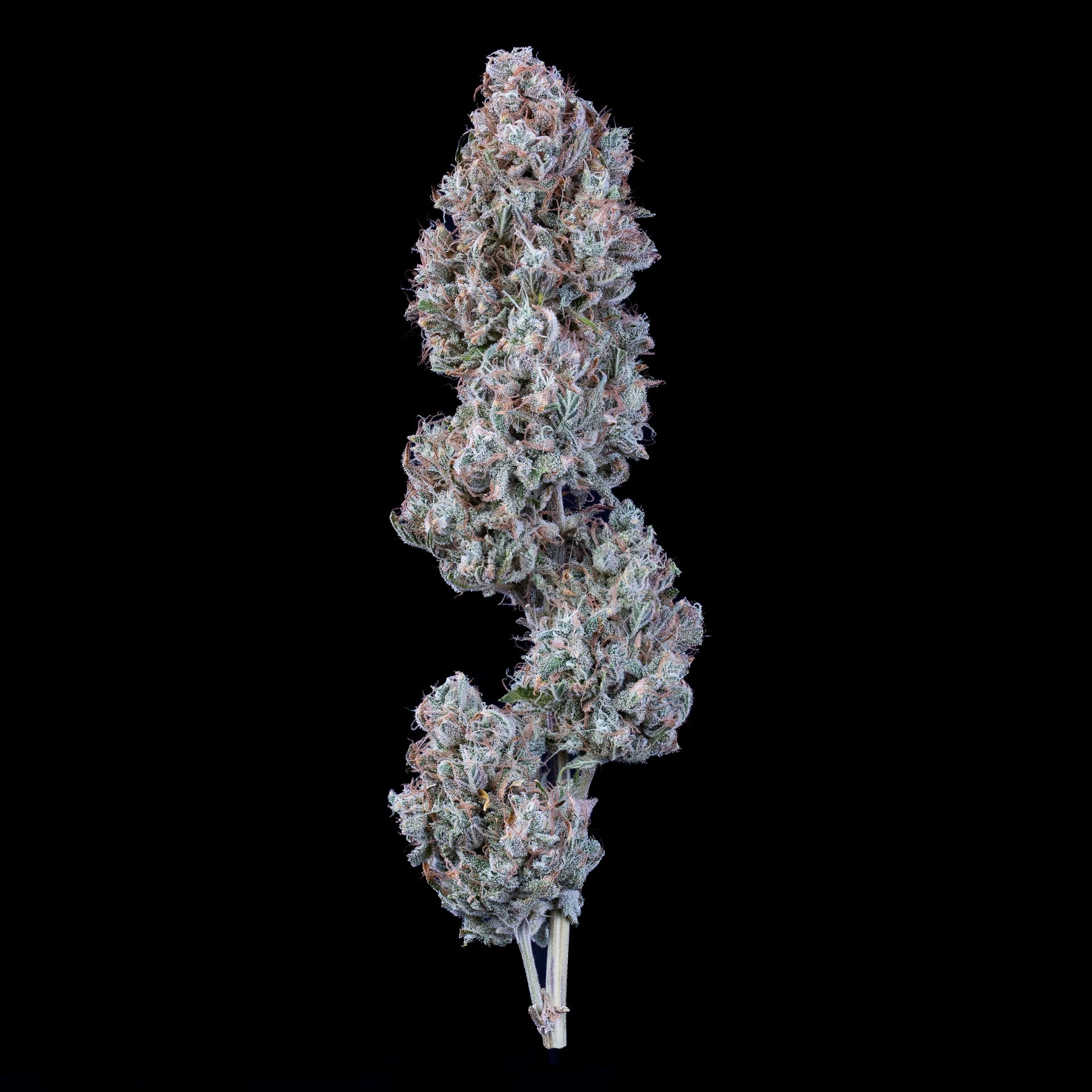 Chemdogging - Image 5
