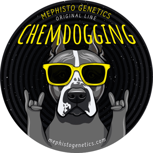 Chemdogging - Image 6
