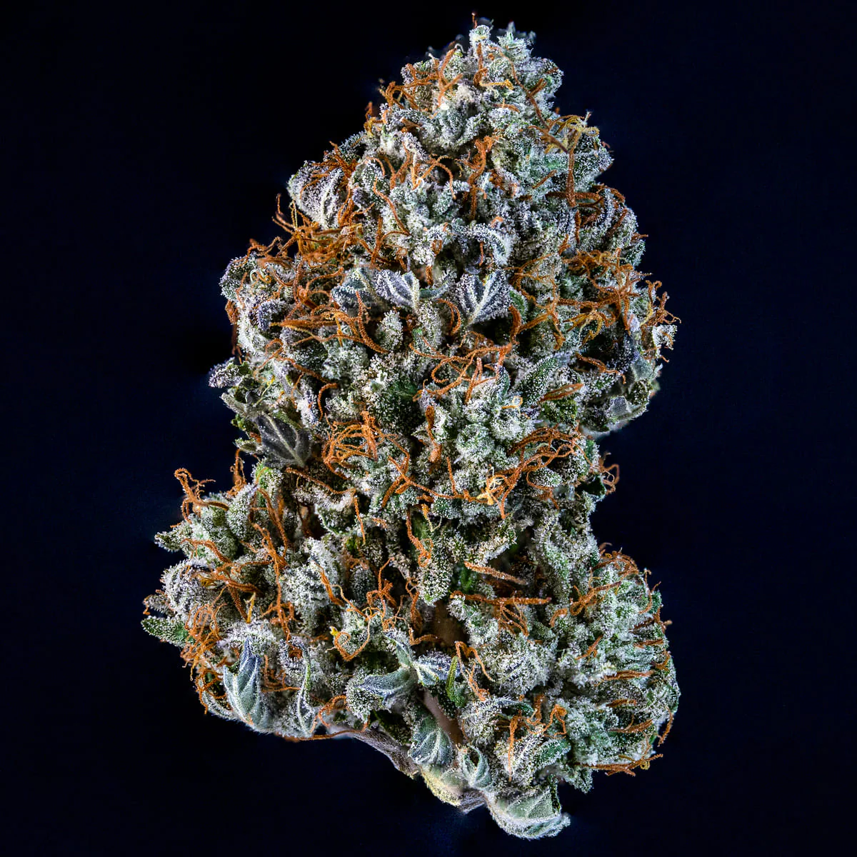 Creme de la Chem - Image 4