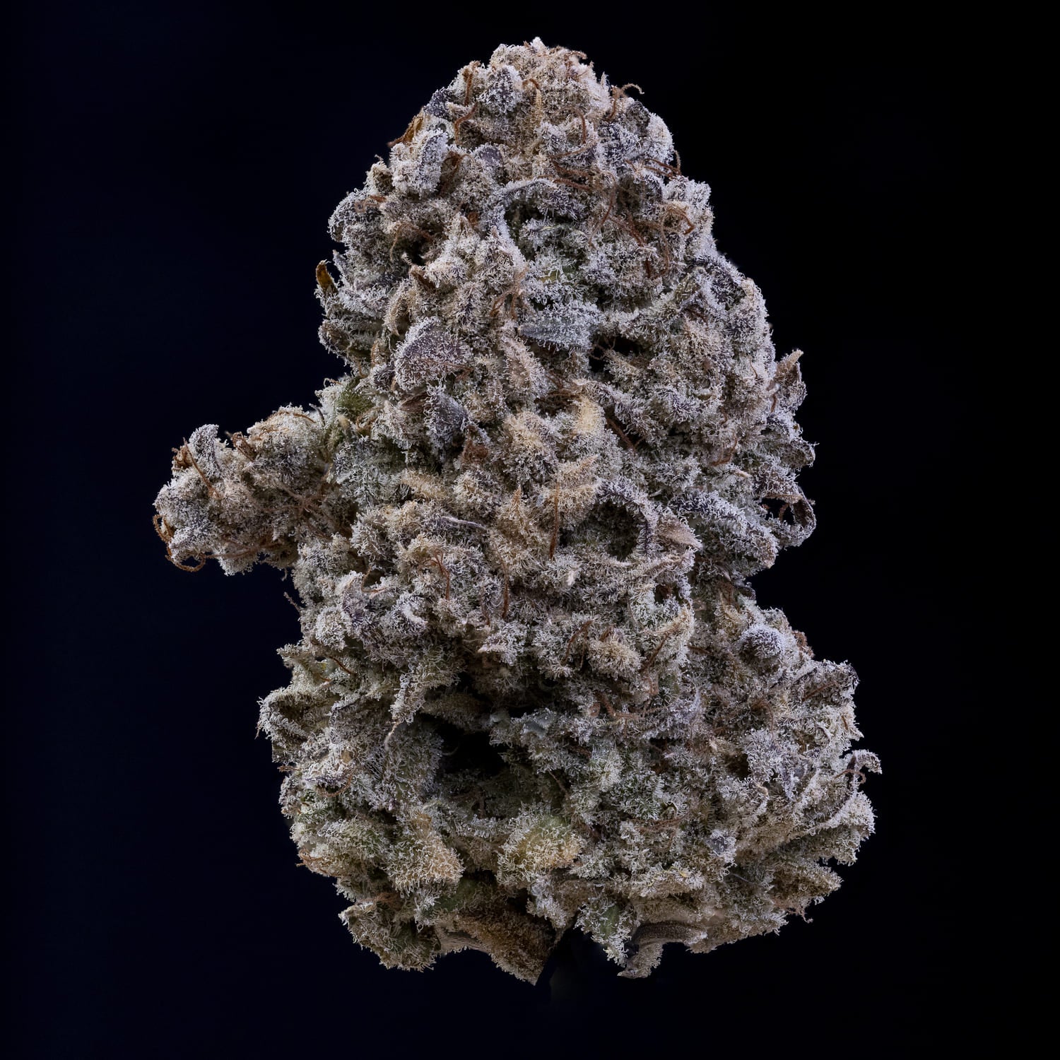 Do-si-delirium - Image 6