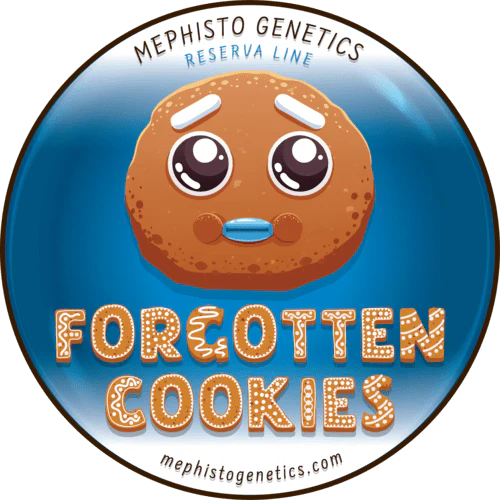 Forgotten Cookies - Image 8