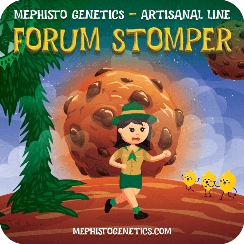 Forum Stomper - Image 5