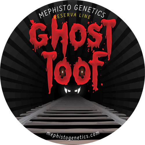 Ghost Toof - Image 8