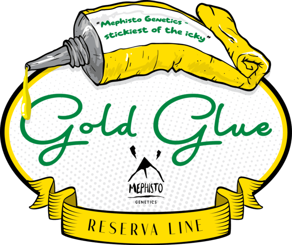 Gold Glue - Image 6