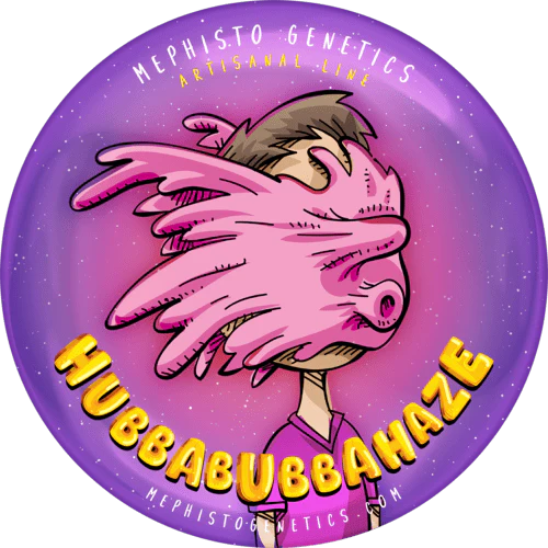 HubbaBubbaHaze - Image 6