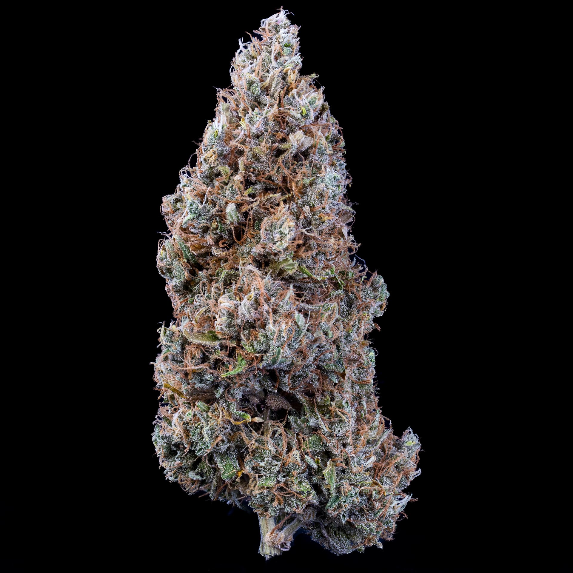 Hubbabubbasmelloscope - Image 5