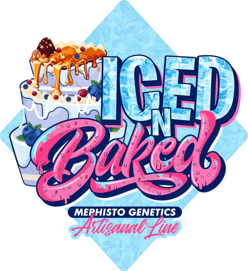 Iced 'n' Baked - Image 9