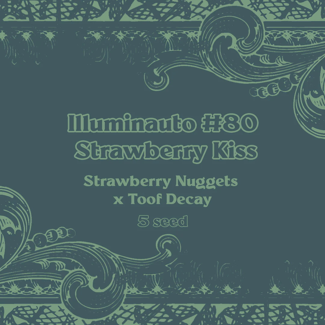 ILL#80 - Strawberry Kiss