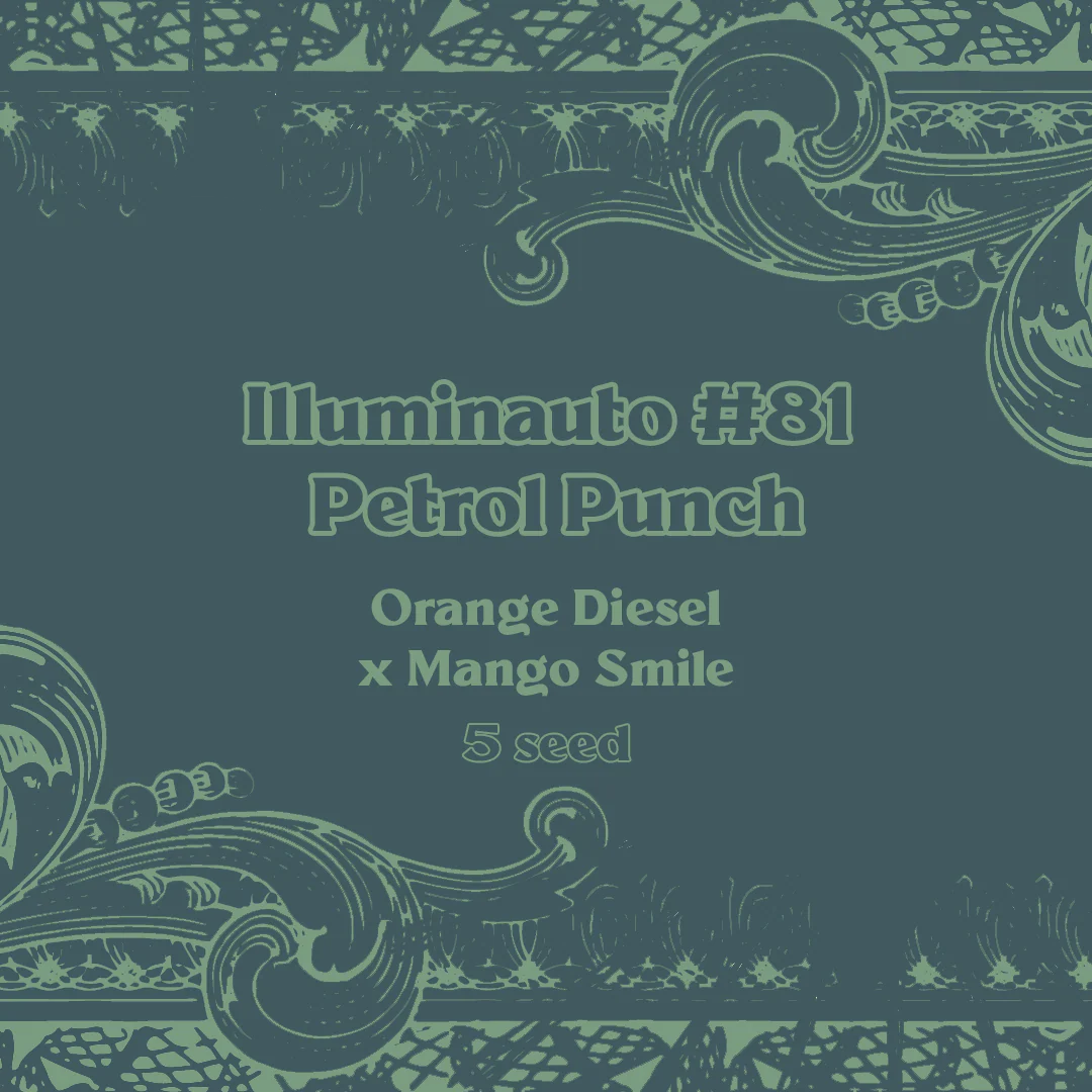 ILL#81 - Petrol Punch