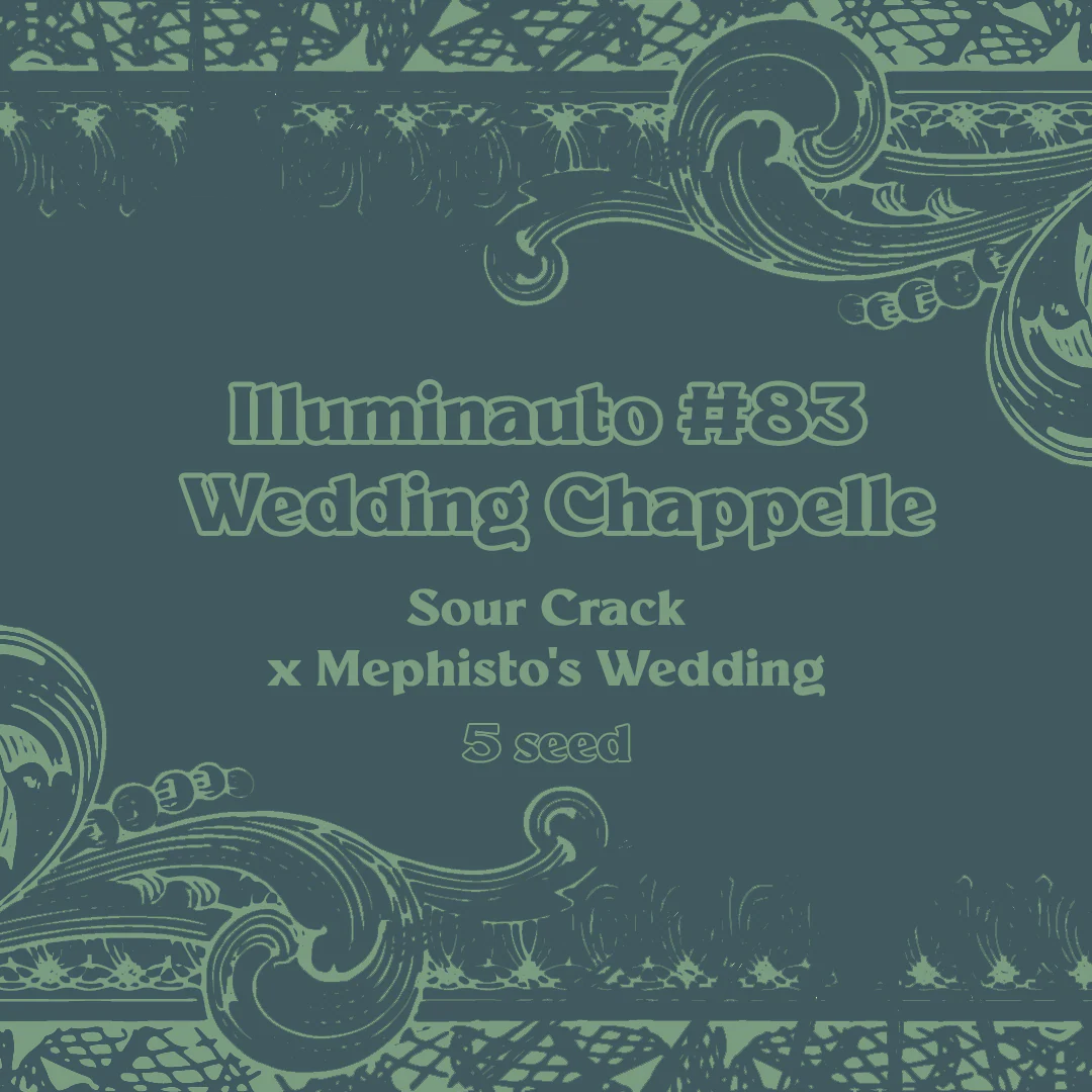 ILL#83 - Wedding Chappelle