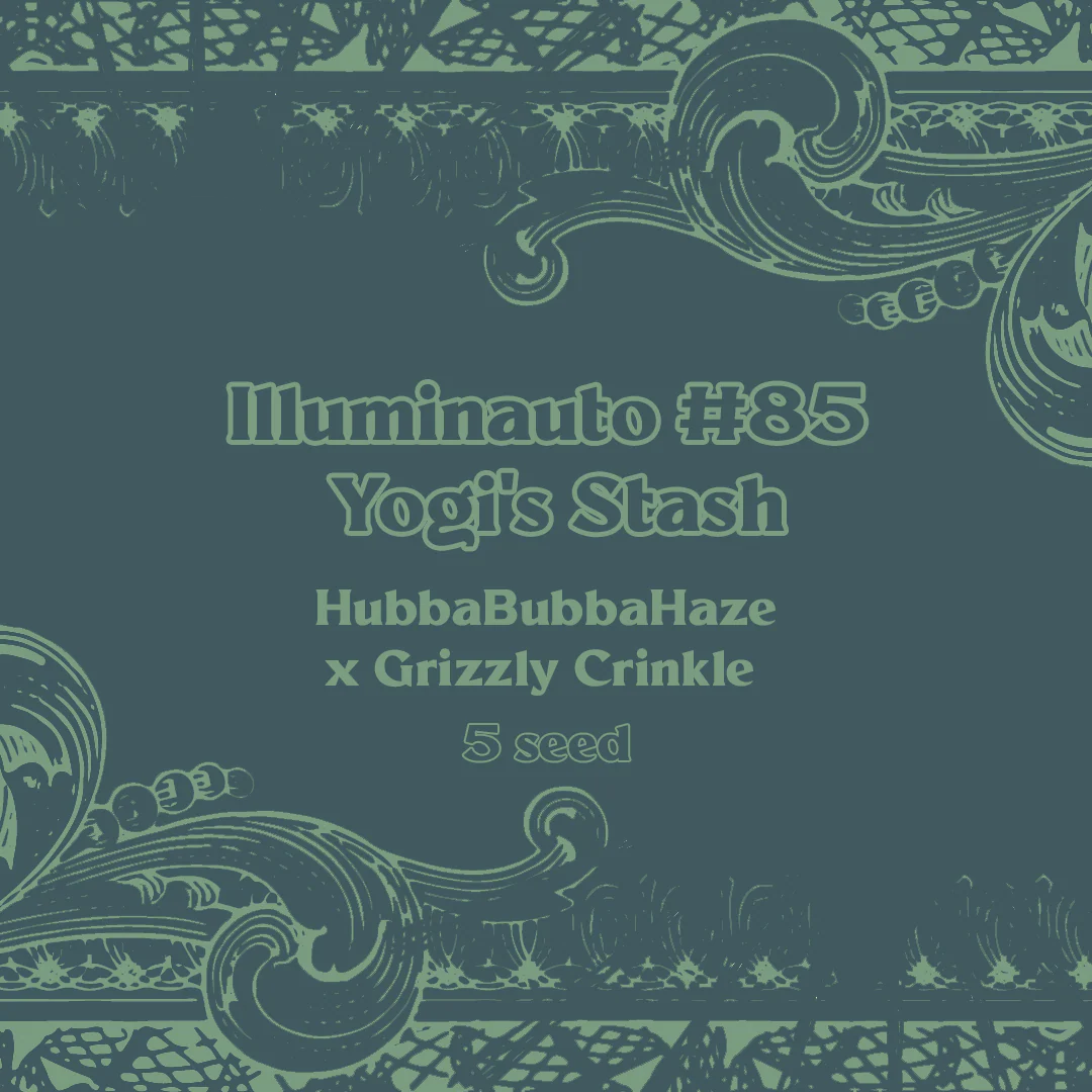 ILL#85 - Yogi's Stash