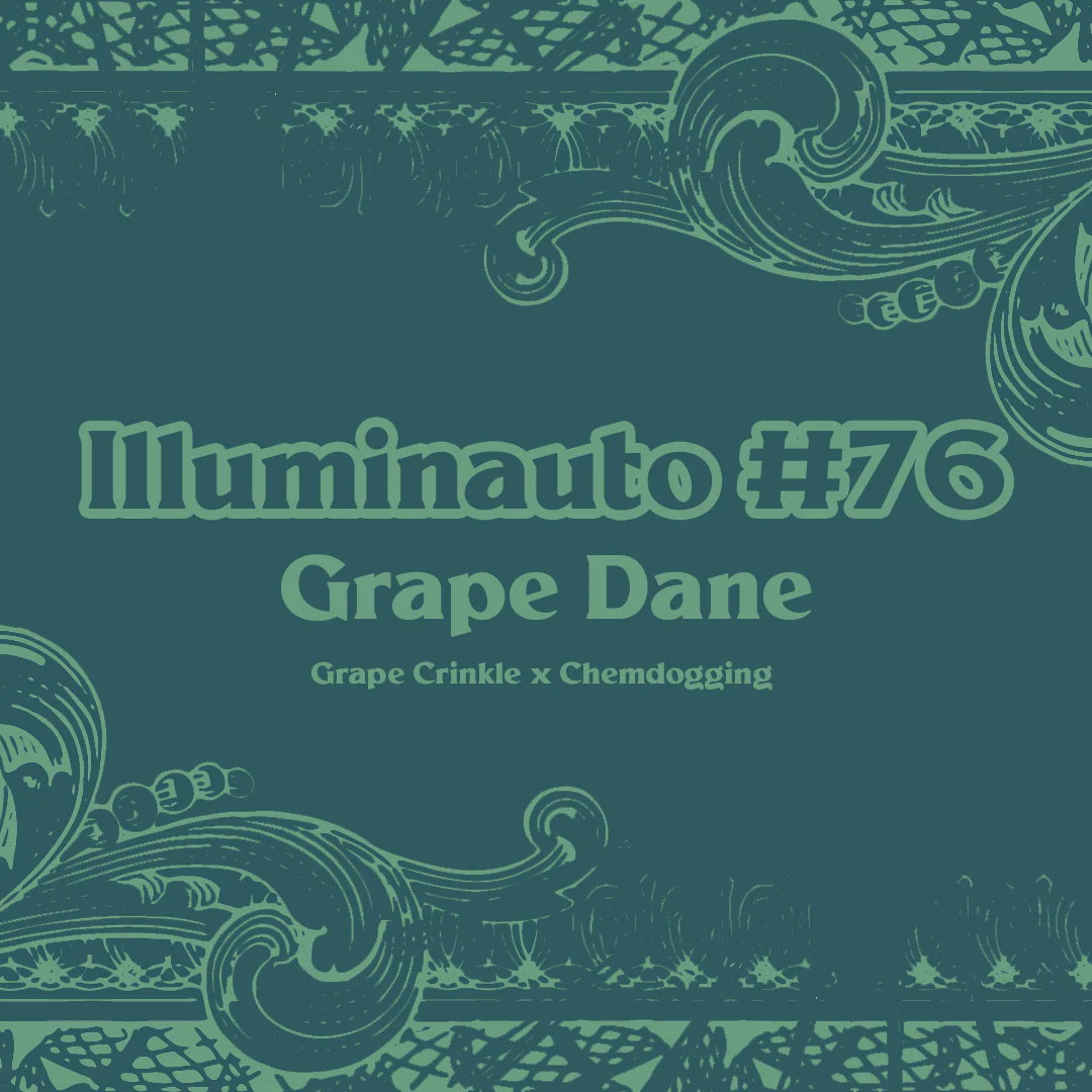 ILL#76 - Grape Dane
