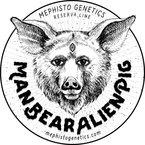 ManBearAlienPig - Image 6