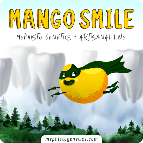 Mango Smile - Image 5