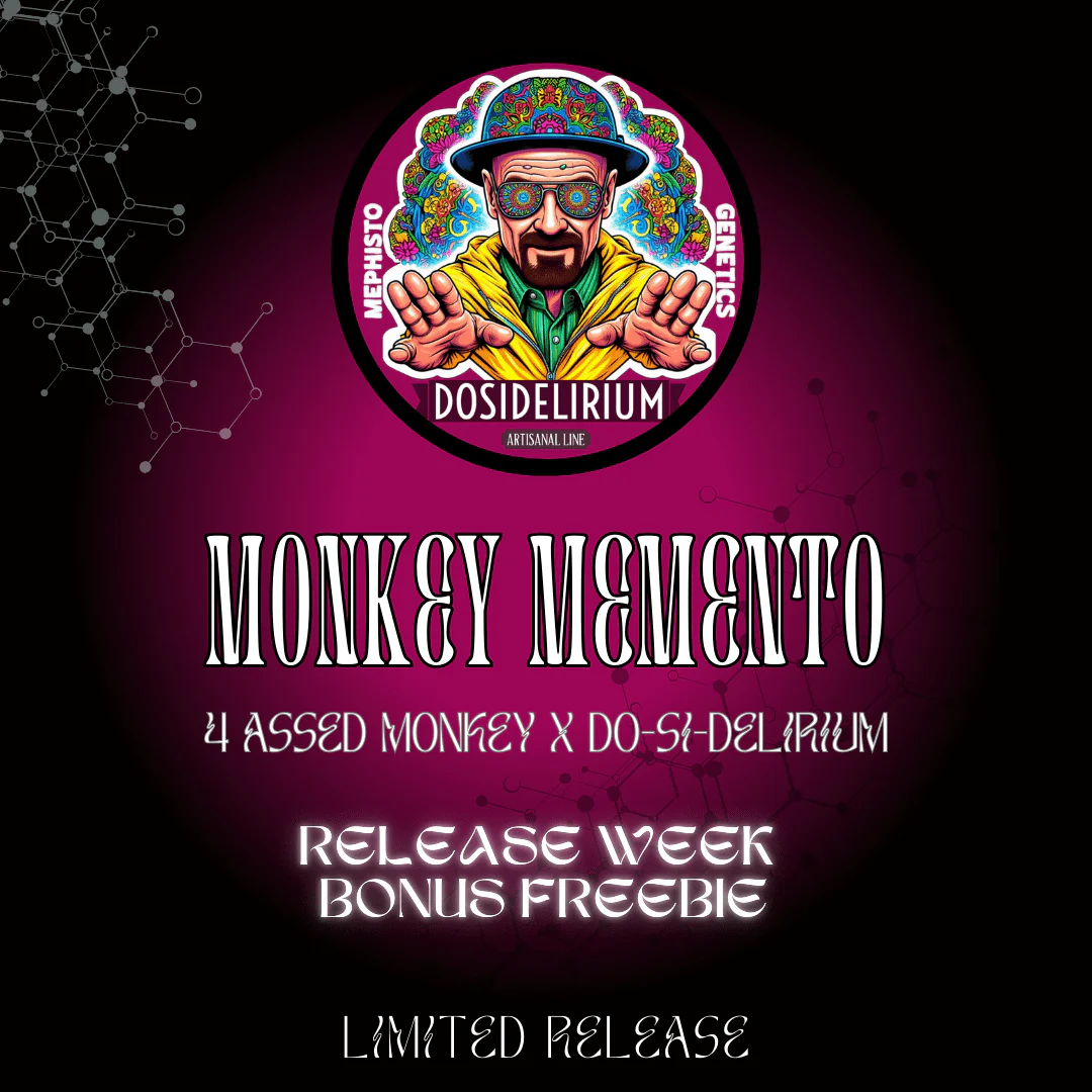 Monkey Memento