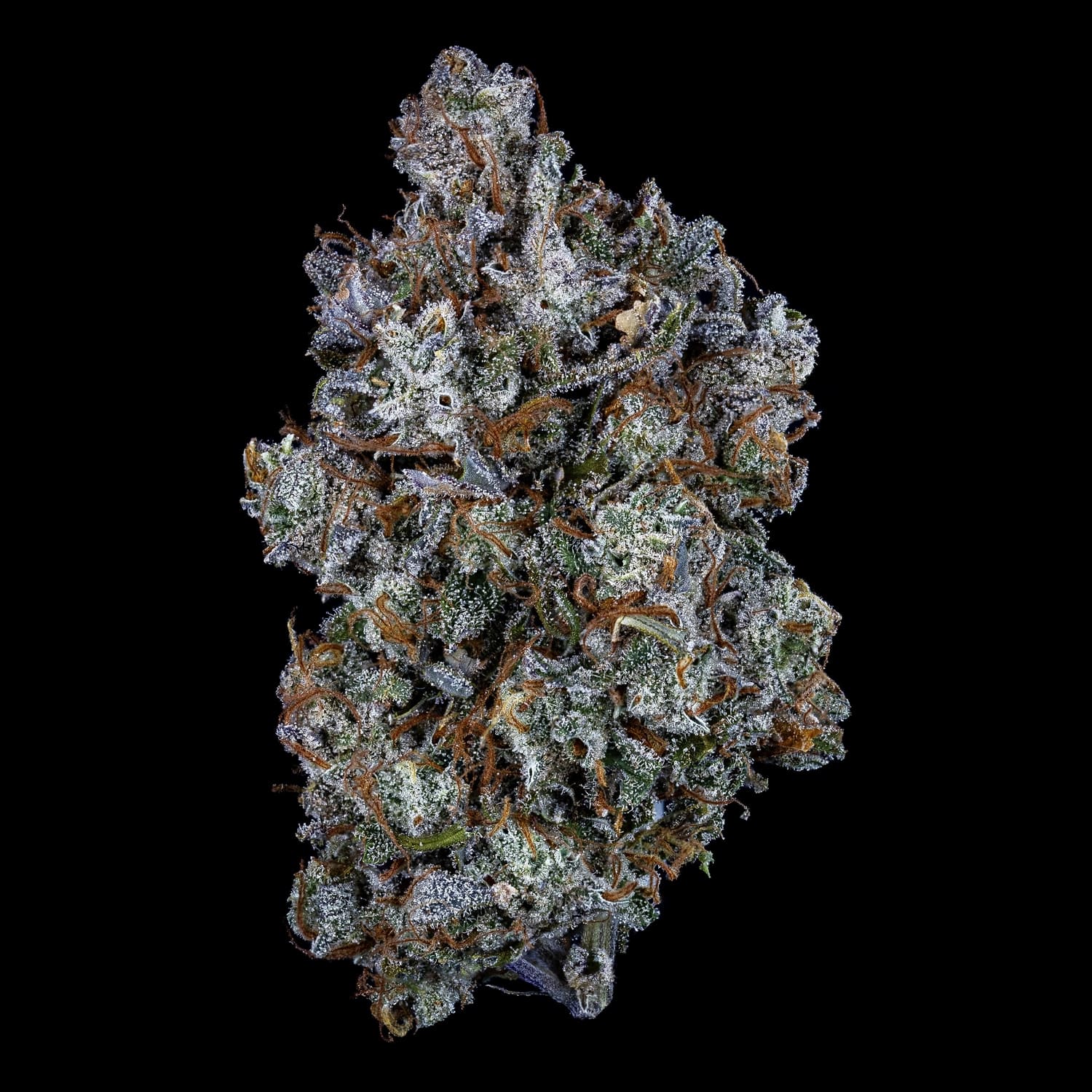Old School Mango Haze - Image 3