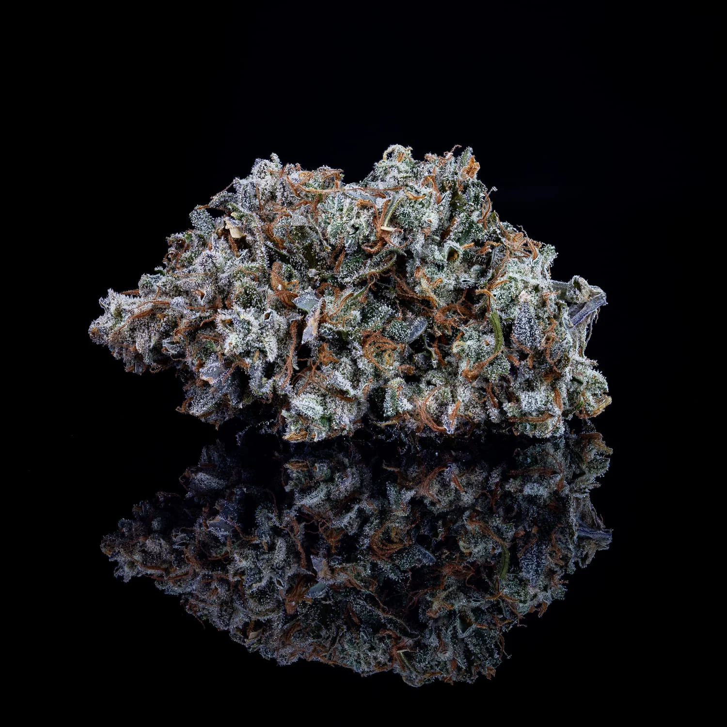 Old School Mango Haze - Image 6