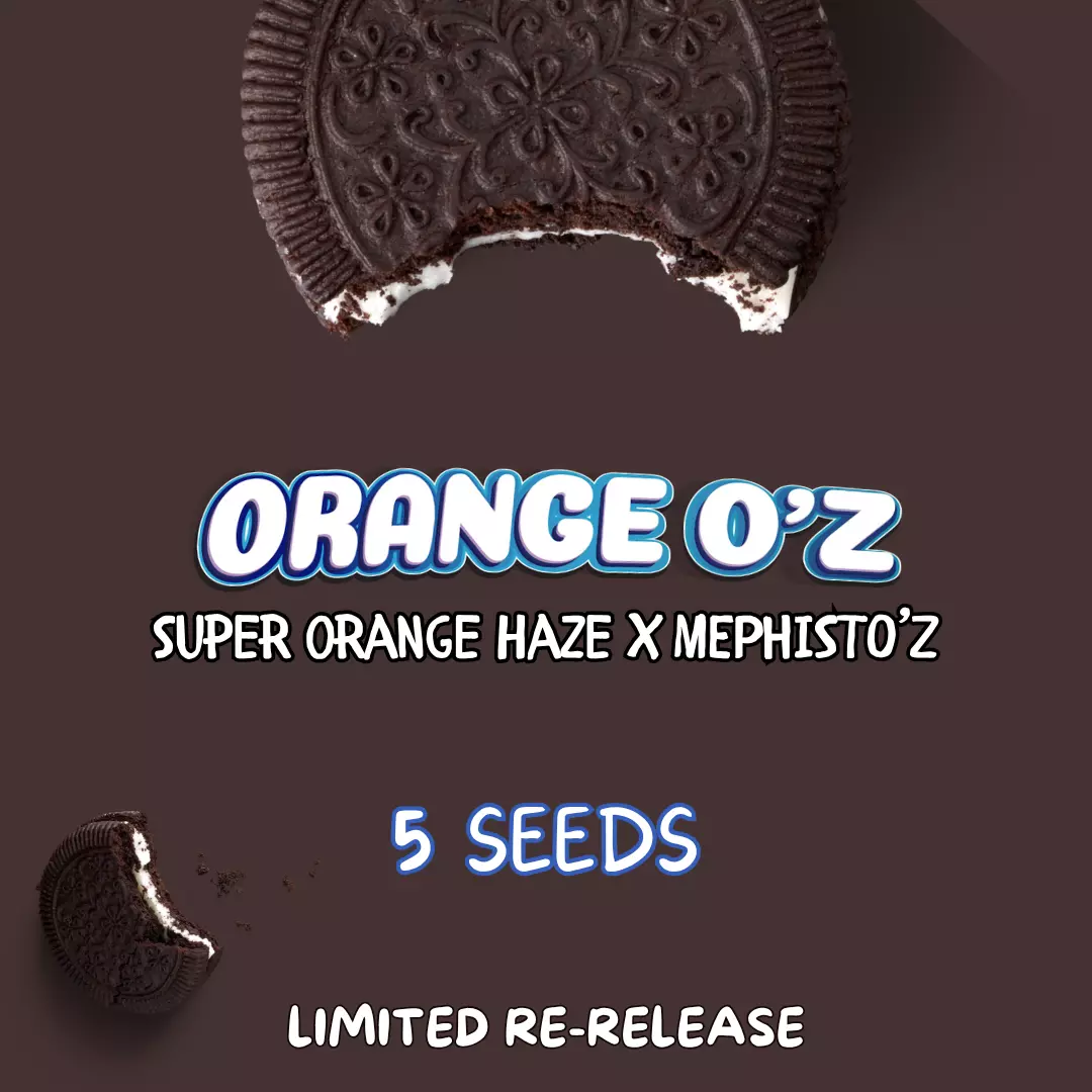 Orange O'z