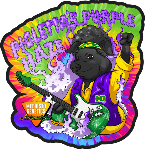 Pigletta's Purple Haze - Image 6