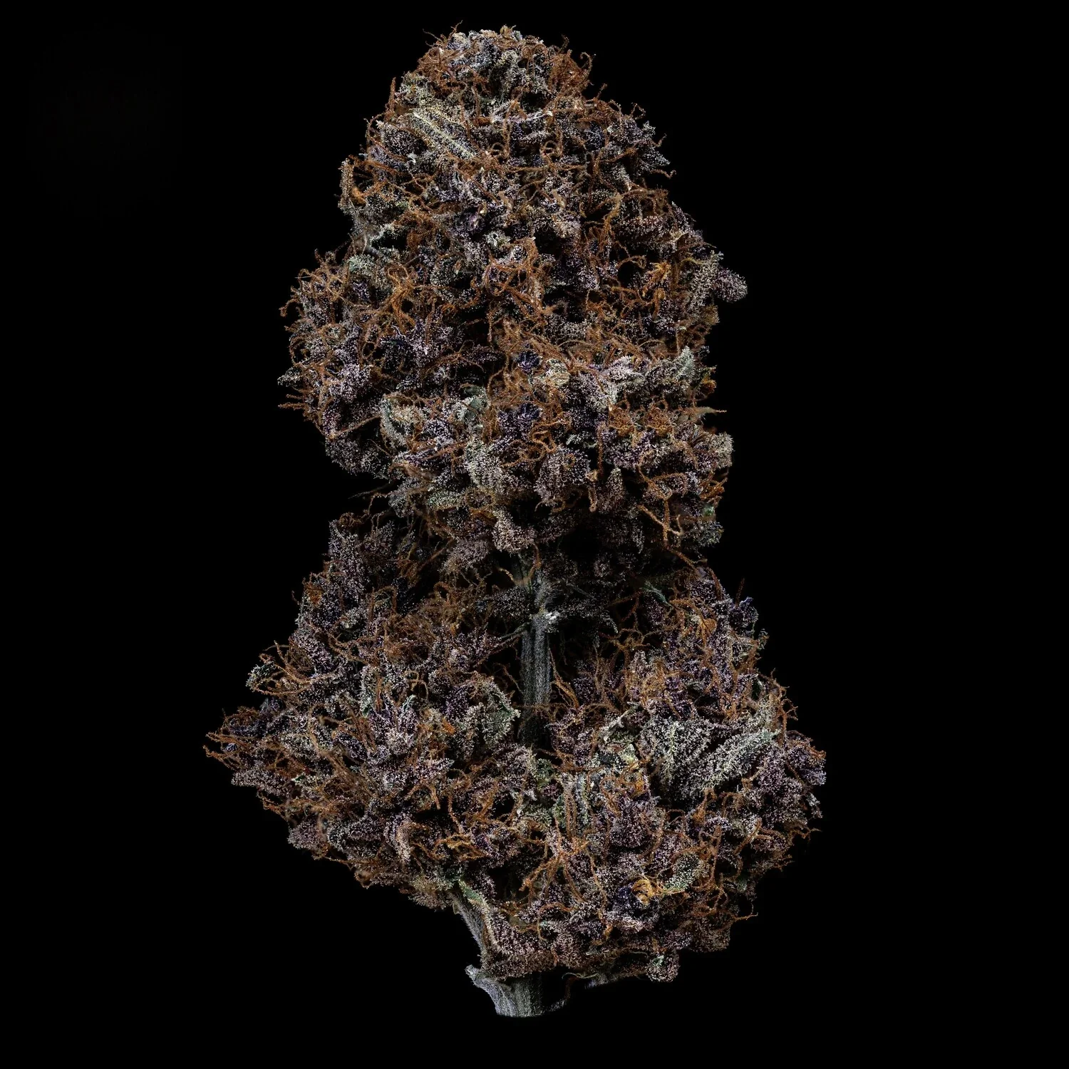 Purple Nuggets - Image 7