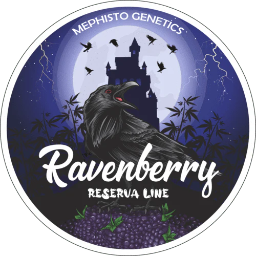 Ravenberry - Image 7