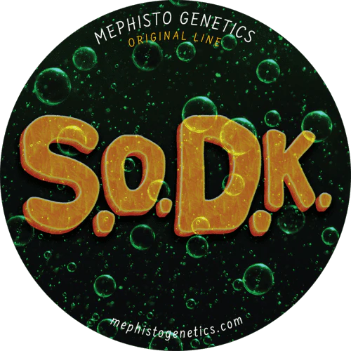 S.O.D.K - Image 7