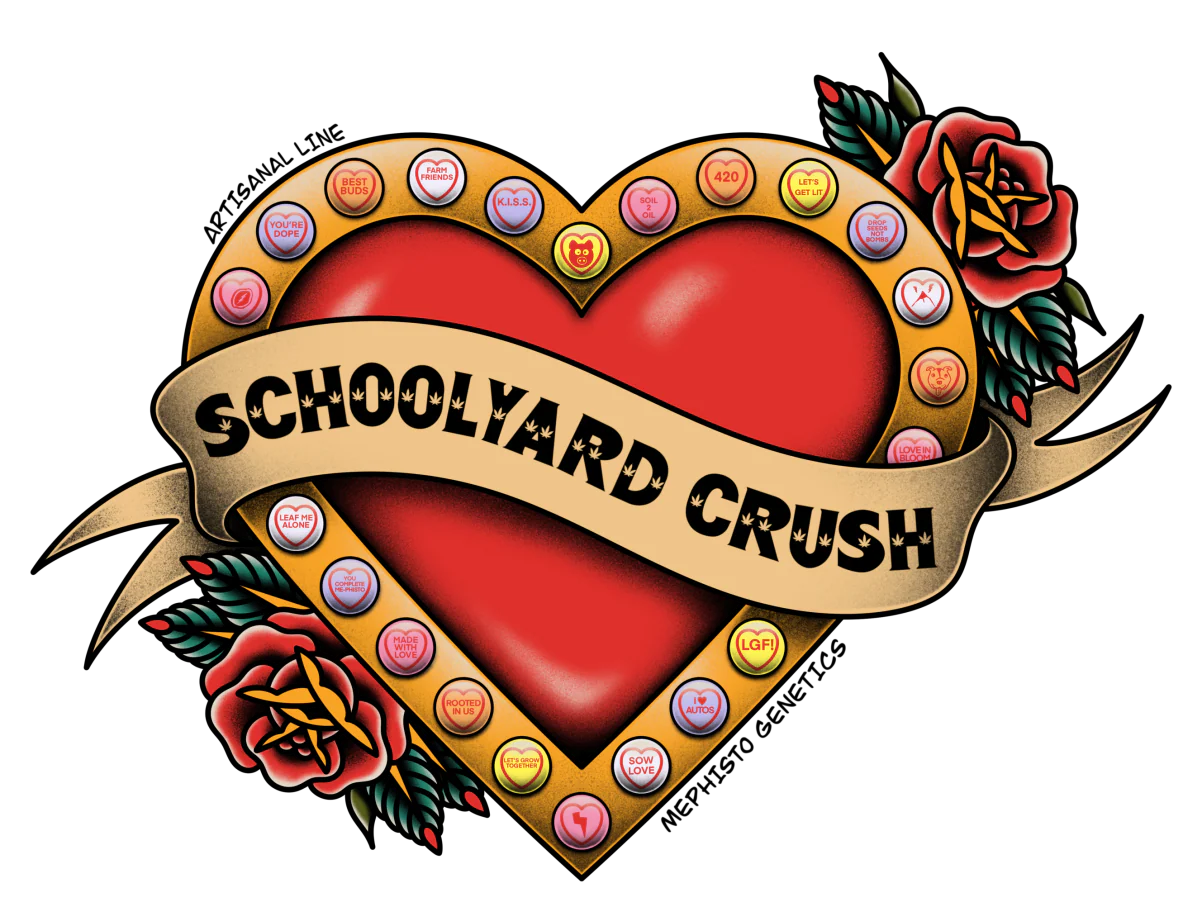 Schoolyard Crush - Image 7