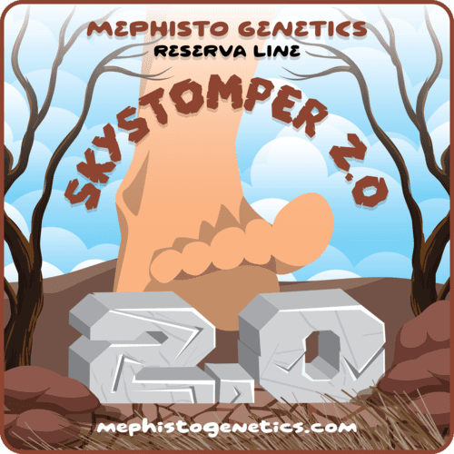 Skystomper 2.0 - Image 6
