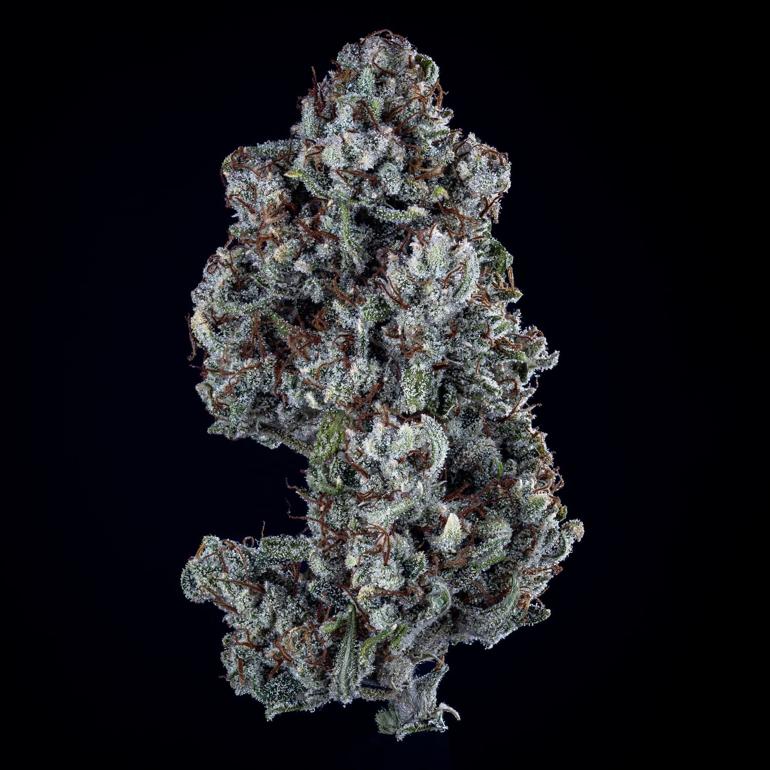 Skywalker - Image 6