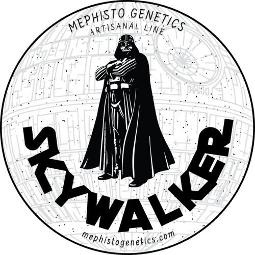 Skywalker - Image 7