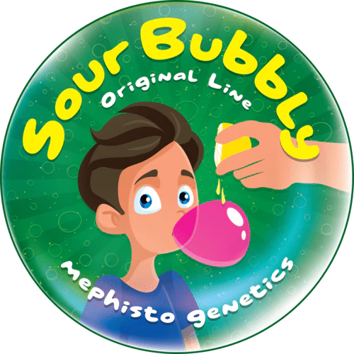 Sour Bubbly - Image 7