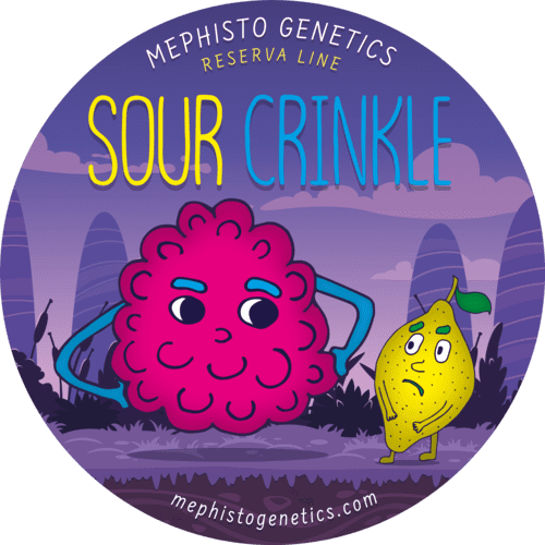 Sour Crinkle - Image 2