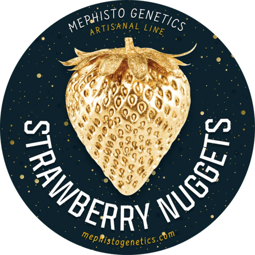 Strawberry Nuggets - Image 4