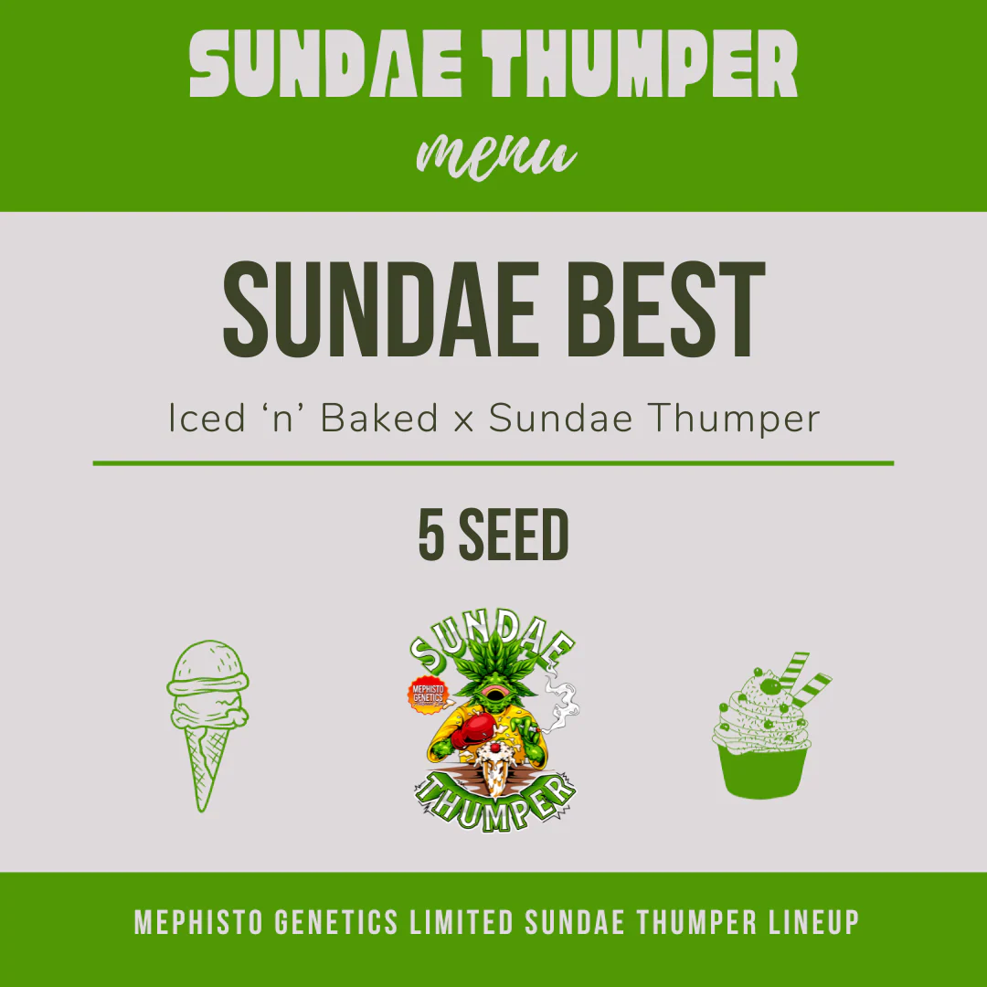 Sundae Best