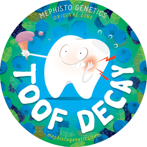 Toof Decay - Image 8