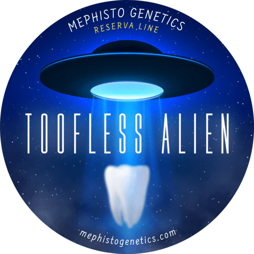 Toofless Alien - Image 8